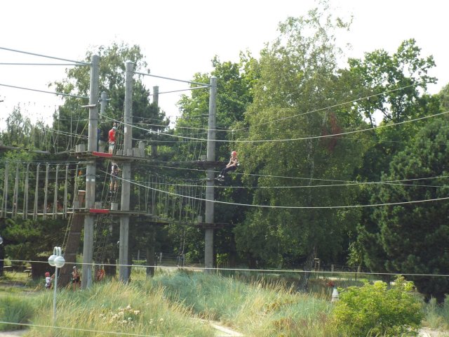 Bilder 22.07.2016
