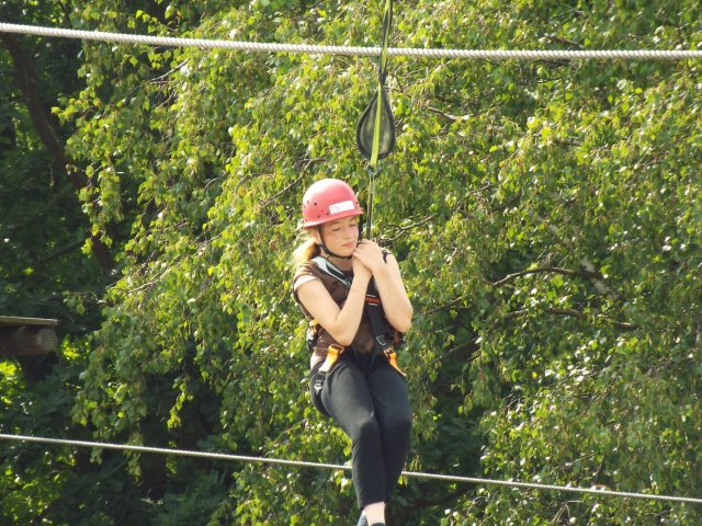 Bilder 22.07.2016
