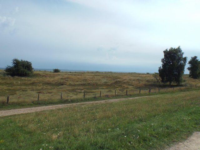 Bilder 22.07.2016