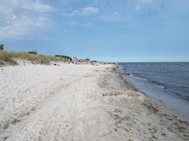 Bilder 22.07.2016