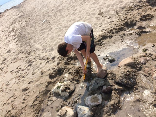 Bilder 22.07.2016