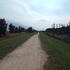 Bilder 22.07.2016