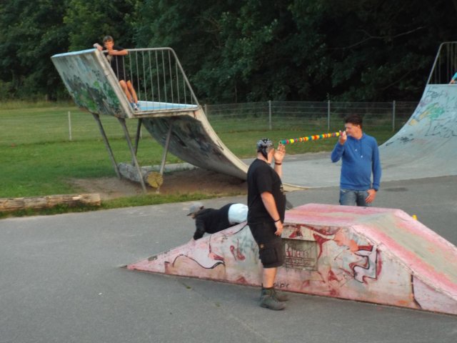 Bilder 23.07.2016