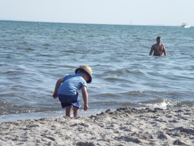 Bilder 24.07.2016