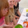 Bilder 24.07.2016