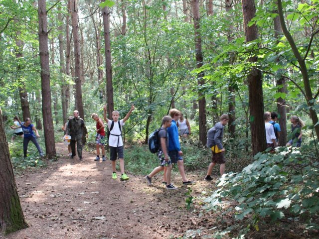 Bilder 25.07.2016