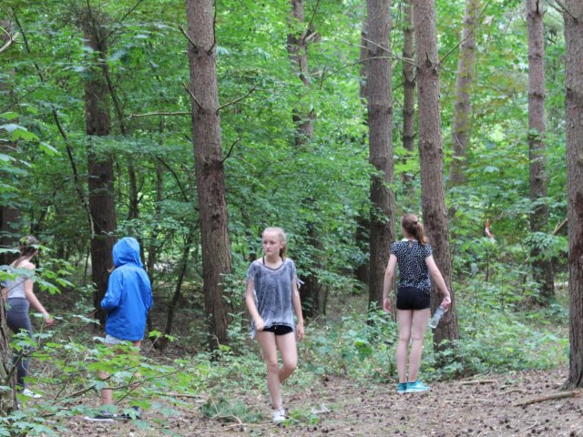 Bilder 25.07.2016