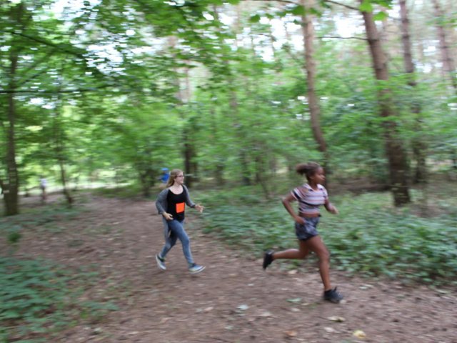 Bilder 25.07.2016