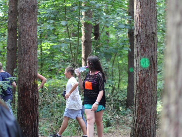 Bilder 25.07.2016