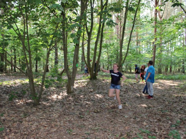 Bilder 25.07.2016