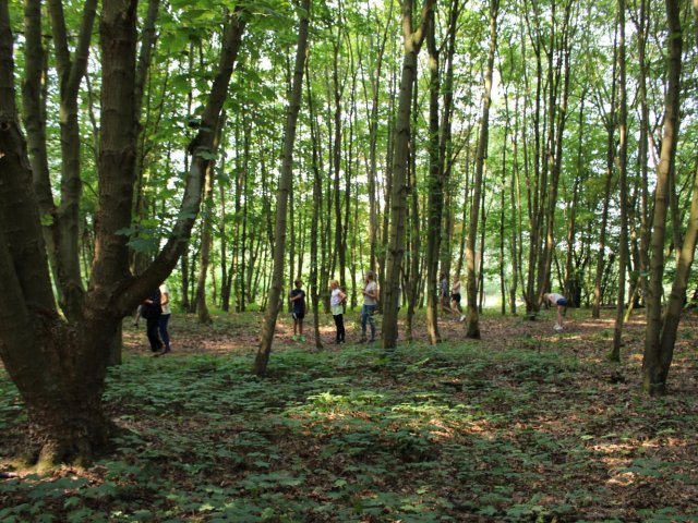 Bilder 25.07.2016