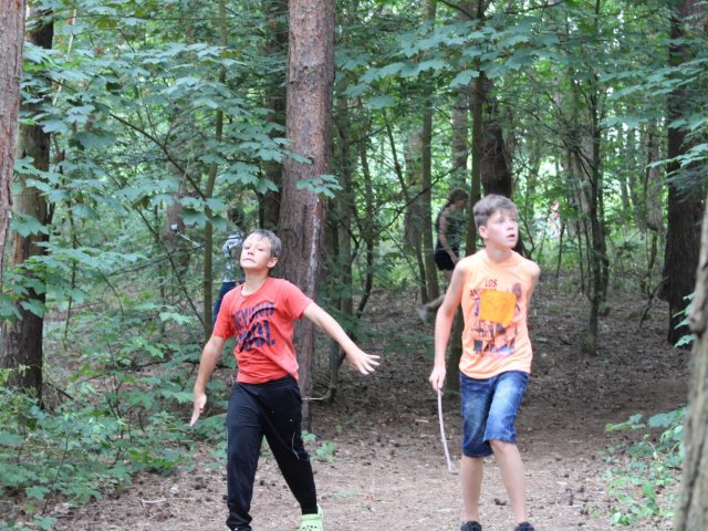 Bilder 25.07.2016