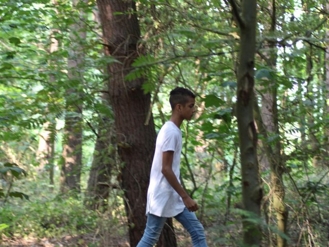 Bilder 25.07.2016