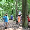 Bilder 25.07.2016