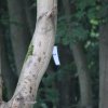 Bilder 25.07.2016