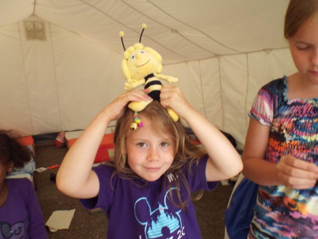 Bilder 26.07.2016
