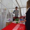 Bilder 28.07.2016