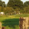 Bilder 28.07.2016