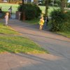 Bilder 28.07.2016