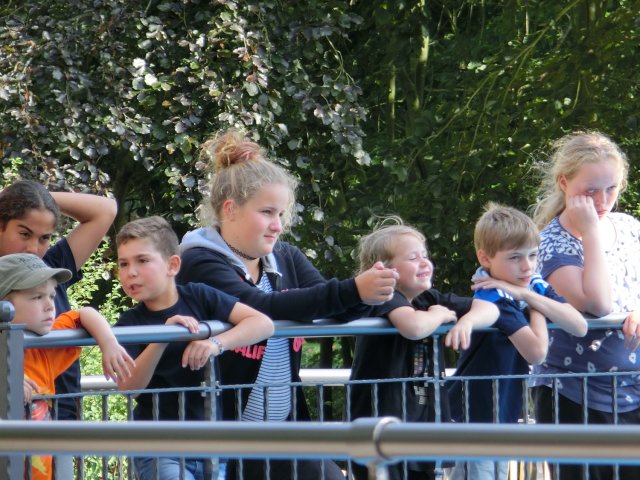 Bilder 29.07.2016