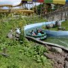 Bilder 29.07.2016