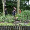Bilder 29.07.2016