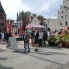 Bilder 29.07.2016