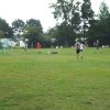 Bilder 30.07.2016