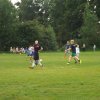 Bilder 30.07.2016