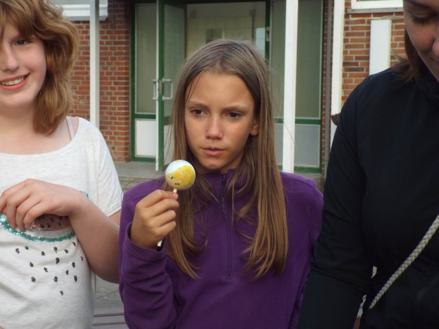 Bilder 13.07.2017