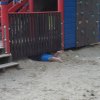 Bilder 13.07.2017