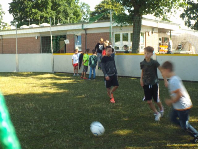 Bilder 14.07.2017