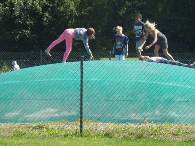 Bilder 14.07.2017
