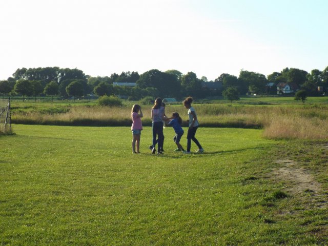 Bilder 14.07.2017