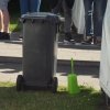 Bilder 14.07.2017