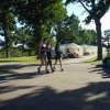 Bilder 14.07.2017