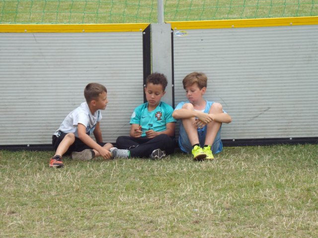 Bilder 15.07.2017