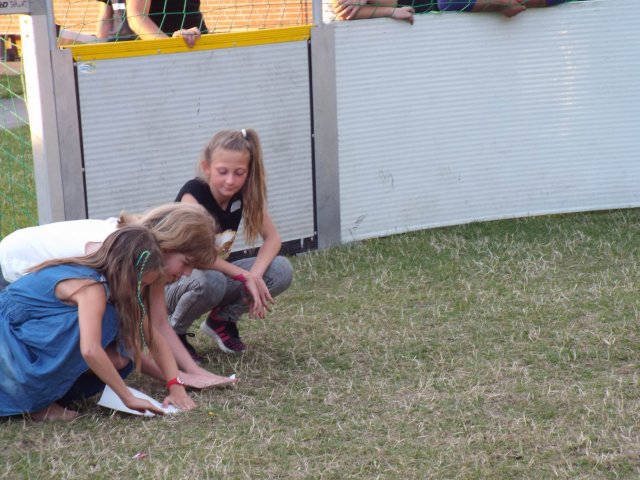 Bilder 15.07.2017