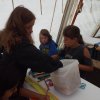 Bilder 15.07.2017