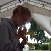 Bilder 15.07.2017