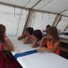 Bilder 15.07.2017