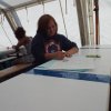 Bilder 15.07.2017