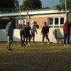 Bilder 15.07.2017