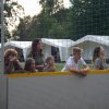 Bilder 15.07.2017