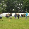 Bilder 16.07.2017