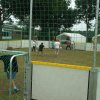 Bilder 16.07.2017