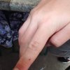 Bilder 16.07.2017