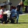 Bilder 17.07.2017