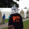 Bilder 18.07.2017