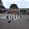 Bilder 18.07.2017